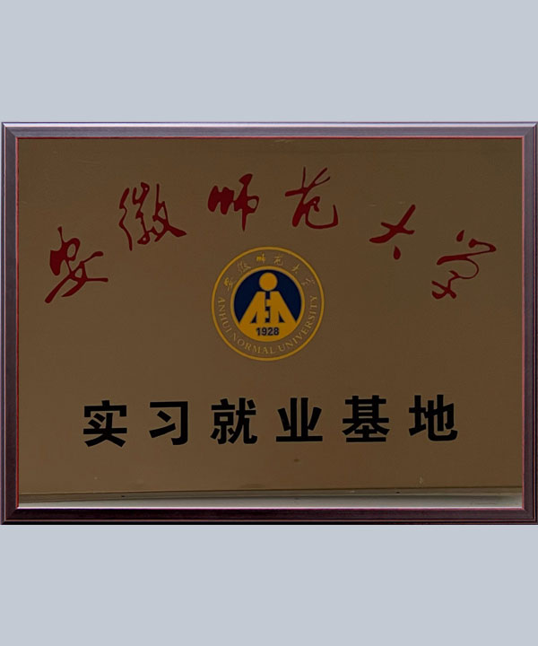 集團榮譽