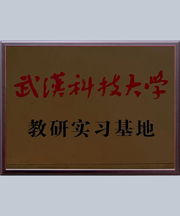 集團榮譽